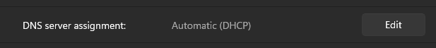 Windows 11 DNS Server Assignment tab