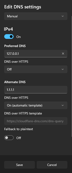 Windows 11 DNS Configuration